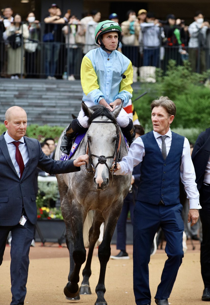 kirakiraboshi45's tweet image. 芦毛可愛いから大優勝です！！

なんか、異国情緒ありますなあ😭✨

＃チャリン
＃マイルCS