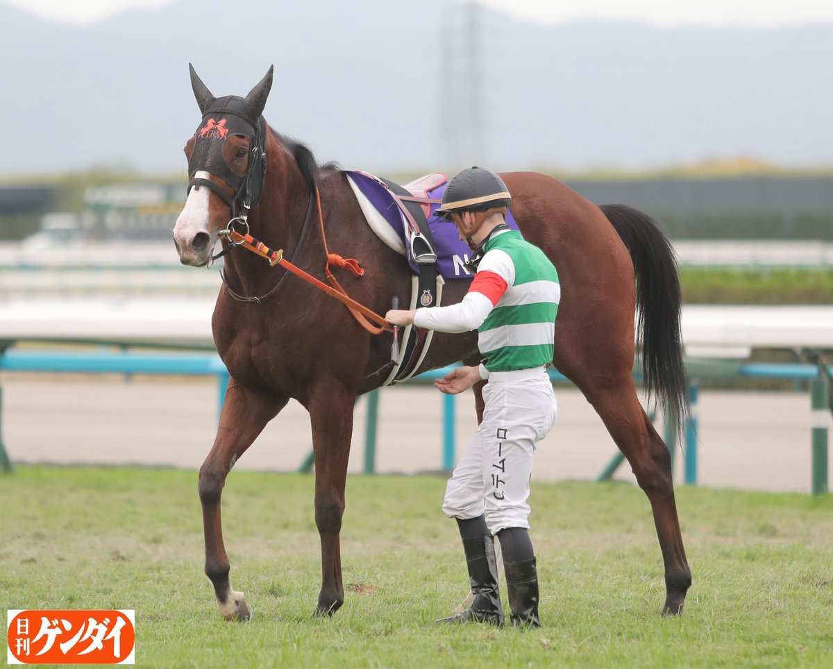 競馬　C.デムーロ騎手　実使用　ジョッキーパンツ 競馬 C.デムーロ騎手 サイン入り 実使用 ジョッキーパンツ