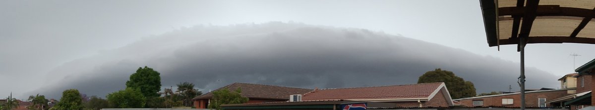 Nina Nikolic 💫 Kerri tweet media