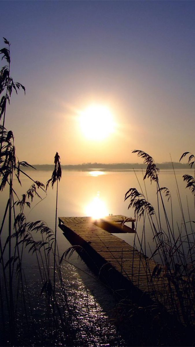 كلما ازدادت عمقًا، كان الخروج منها أصعب، والنجاة أكثر استحالة.