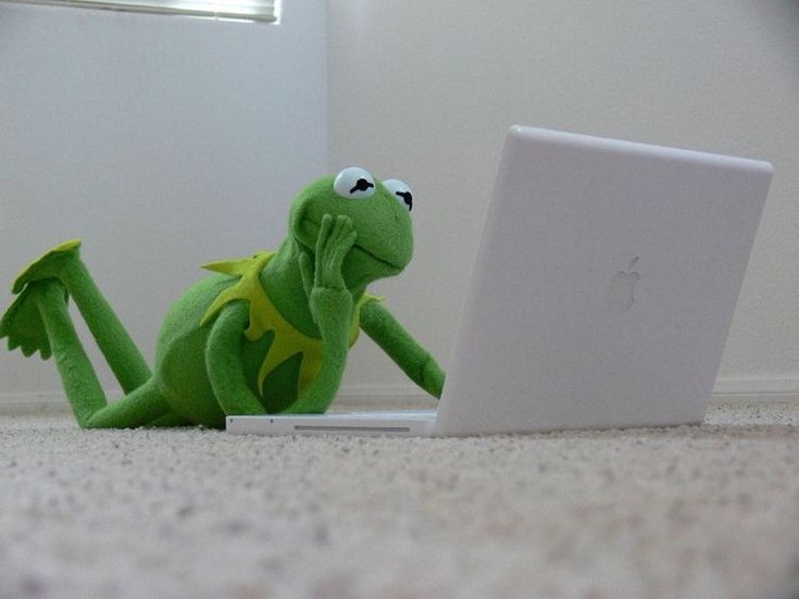 thegreatmatcha's tweet photo. I finally finished my report https://t.co/5s3ZznEqga