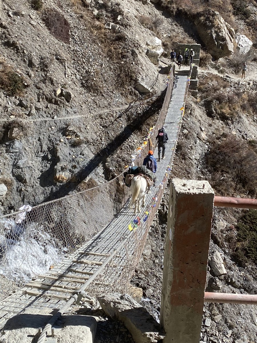 Pat Carragher tweet media