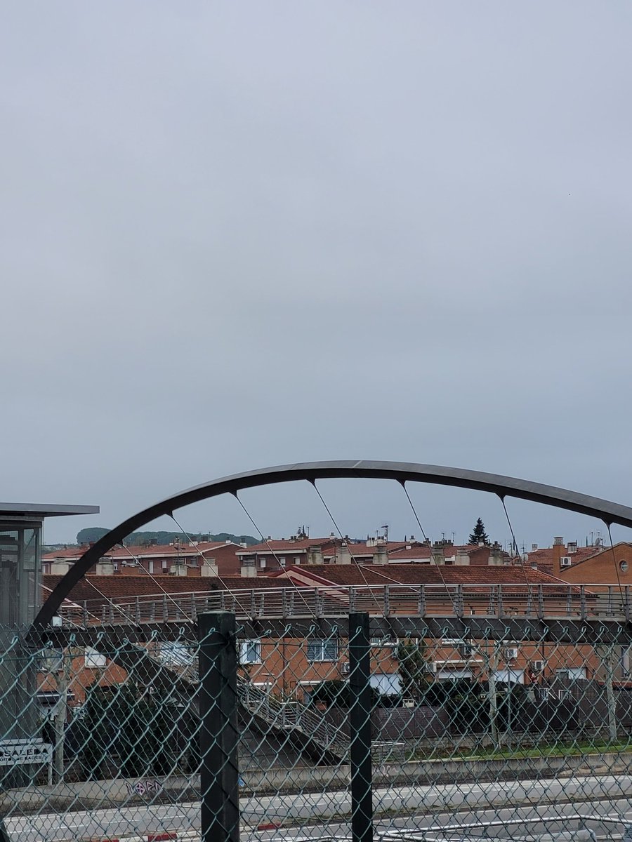 Marisquer Can Ladis tweet media