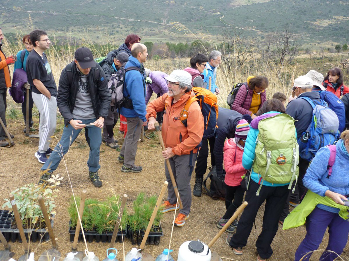 El "Bosque de los 110 Años" ya está plantado en Collado Mediano. Este sábado, 16 de noviembre, se han plantado los árboles (pinos, robles y servales) gracias a la colaboración de numerosos miembros de nuestra @rseapelara. Ahora lo seguiremos cuidando para que crezca.