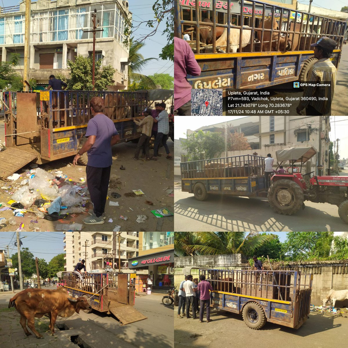 nmtarkhala's tweet photo. આજરોજ ઉપલેટા નગરપાલિકા વહીવટદારની રૂએ ઉપલેટા શહેરમાં રખડતાં ઢોર-આખલા પકડવાની ખાસ ડ્રાઈવ રાખવામાં આવી ��ેના લીધે રોડ પર થતાં અકસ્માતોમાં ઘટાડો થશે,આગામી સમયમાં પણ આ પ્રકારની ખાસ ડ્રાઈવ ચાલુ રાખવામાં આવશે.
#Straycattledrive https://t.co/dRANpPg1Y2