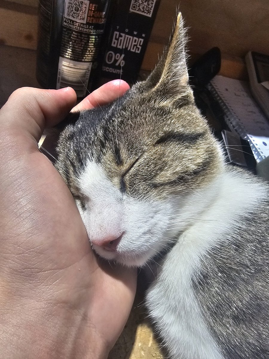 BrysonsArts tweet media