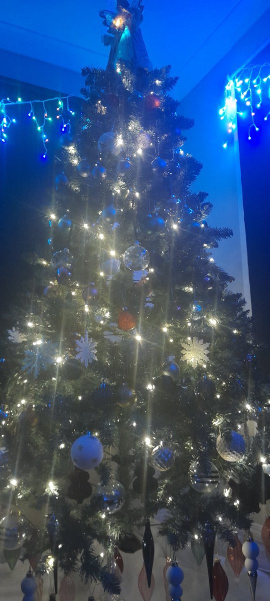 GeckoInMotion's tweet image. Who else is set up for Christmas? #Xmas #Christmas