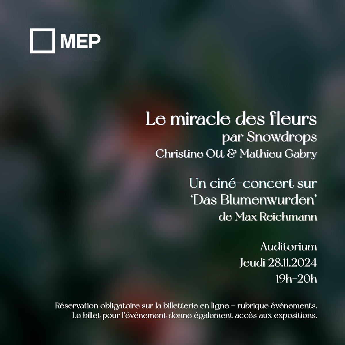 Snowdrops tweet media