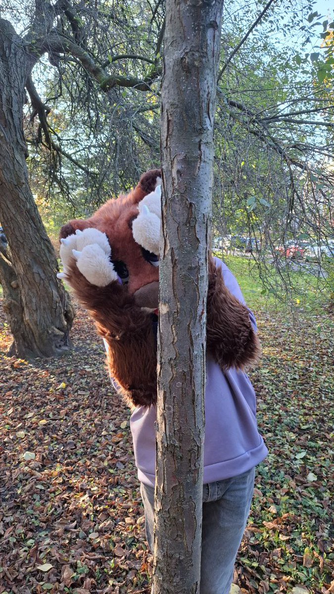 I will be at DCC!!
What to do when you meet me?

Do:
•  Say hi!
•  Ask for a hug
• If I don't see you, either call my name or tap my shoulder :3
• Ask for a picture! I love it when people ask me to 🥺
• Ask me for a sticker! I'll have some with me :3

Dont:
•  Surprise hug