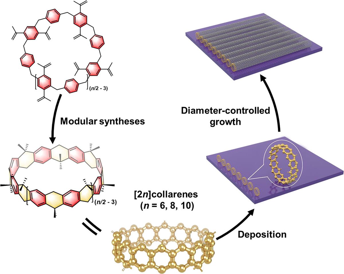 Qing-Hui Guo (郭庆辉) tweet media