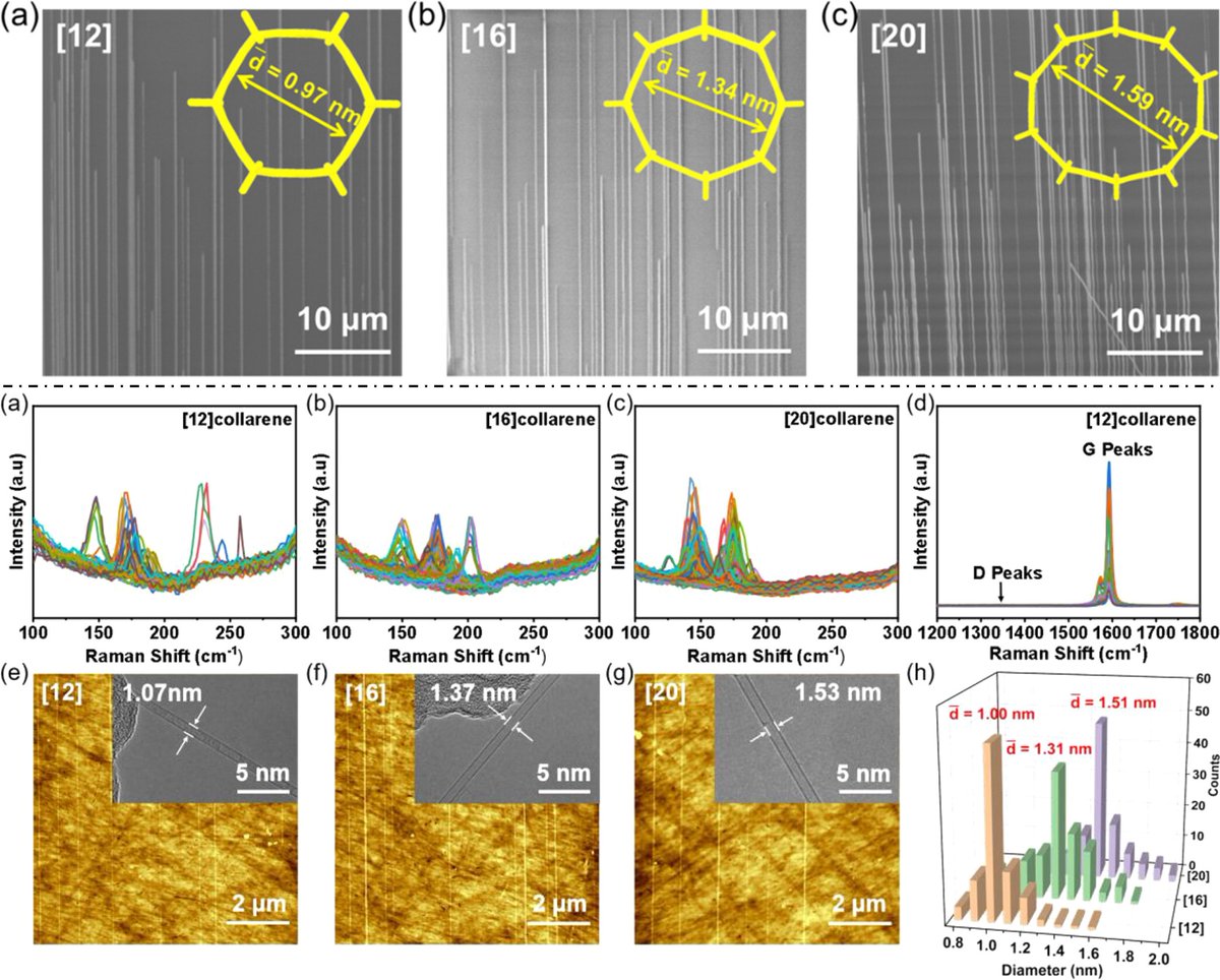 Qing-Hui Guo (郭庆辉) tweet media