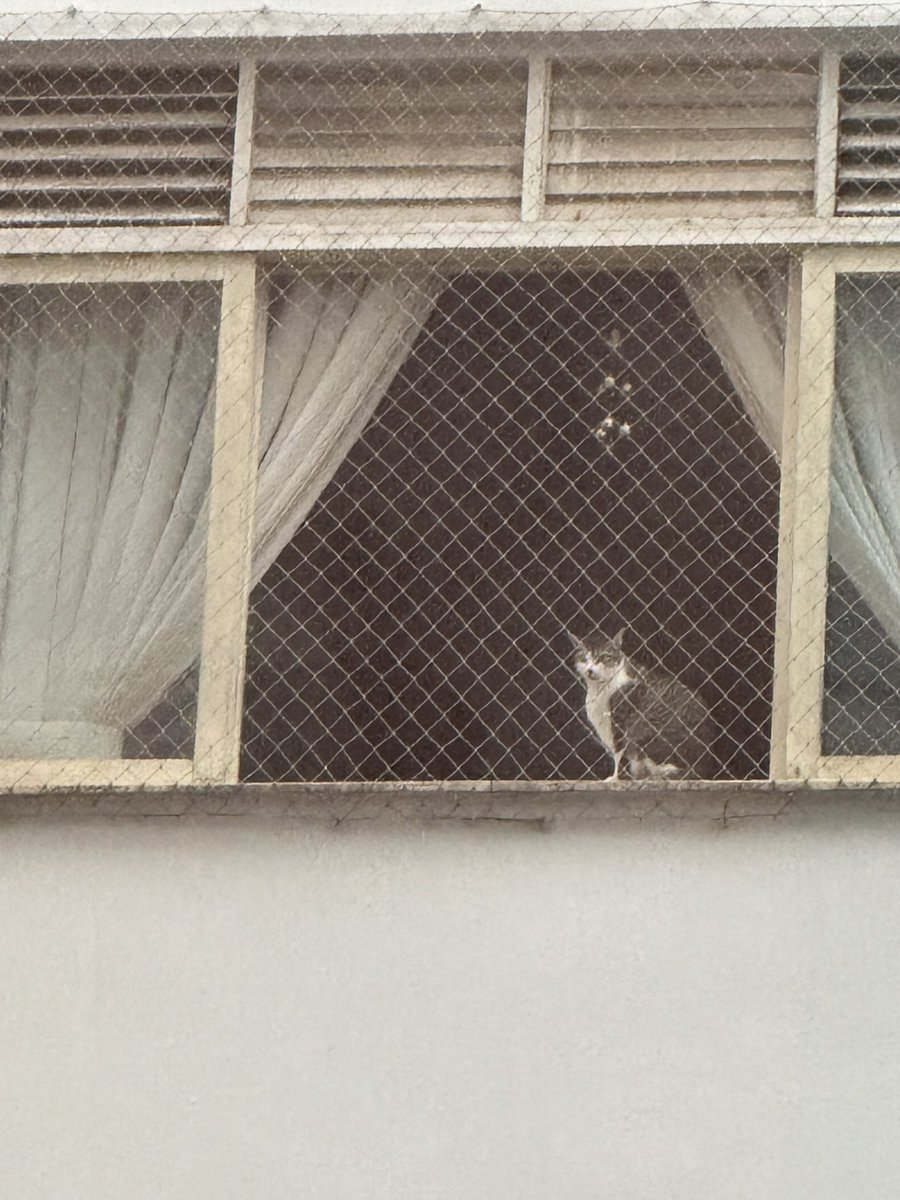 No context in Copacabana.