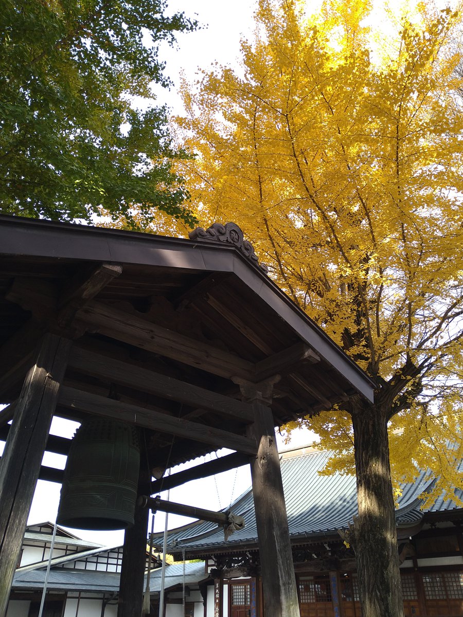 taira0802's tweet photo. 木の葉舞い
感謝を宿す
秋桜

７４年の人生
はやすぎる旅立ち
穏やかな笑顔浮かぶのは
いつも優しい笑顔があったから

へこたれない訓えの感謝を込めて
陣羽織は神前にお預かりをいただきました。
感謝祭にて打ち上げです。 https://t.co/d3gx9BIy2Q