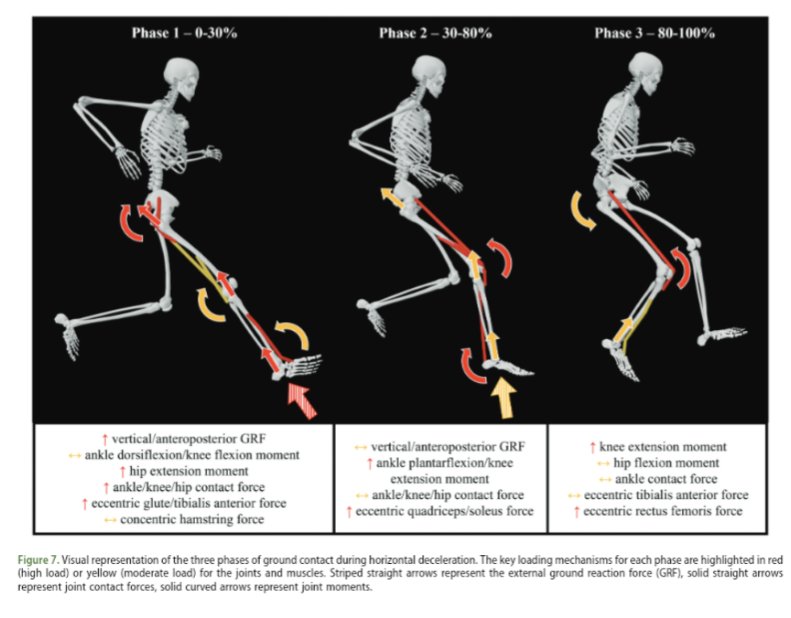 The Football Physio tweet media