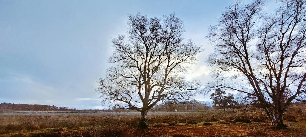 JustLien tweet media