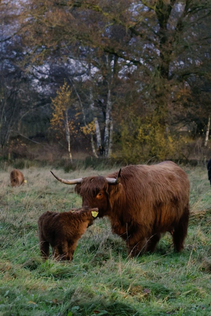 JustLien tweet media