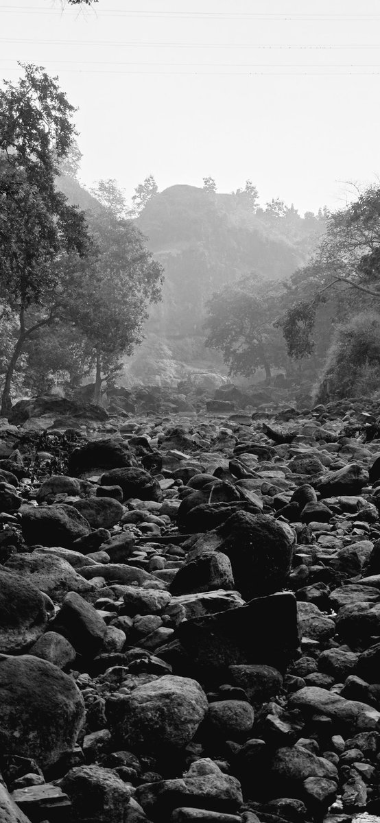 ansul_rathod's tweet image. Sunday Frustrating 🫥 Century Ride! A puncture, 2 broken spokes, and exhausting elevations tested my limits, but in the end, it’s the happiness that matters. 
Every challenge is a story, every ride is an achievement! 🚴‍♂️💪 #CenturyRide #CyclingDiaries #EmbraceTheChallenge