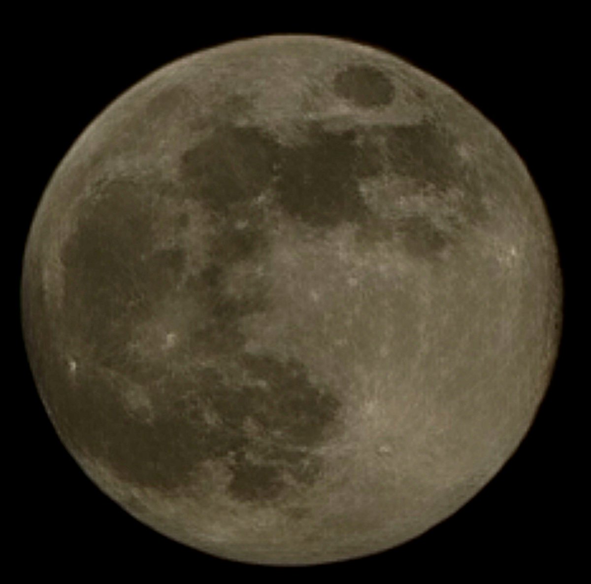 💫November's #BeaverSuperMoon 🦫 is  the last #SuperMoon 🌛 of 2024. Venture outside and #LookUp !
🌑🌒🌓🌔🌕🌖🌗🌘🌑
#BeaverFullMoon 
#fullmoon 
#moon 
#FallVibes 
#Fall