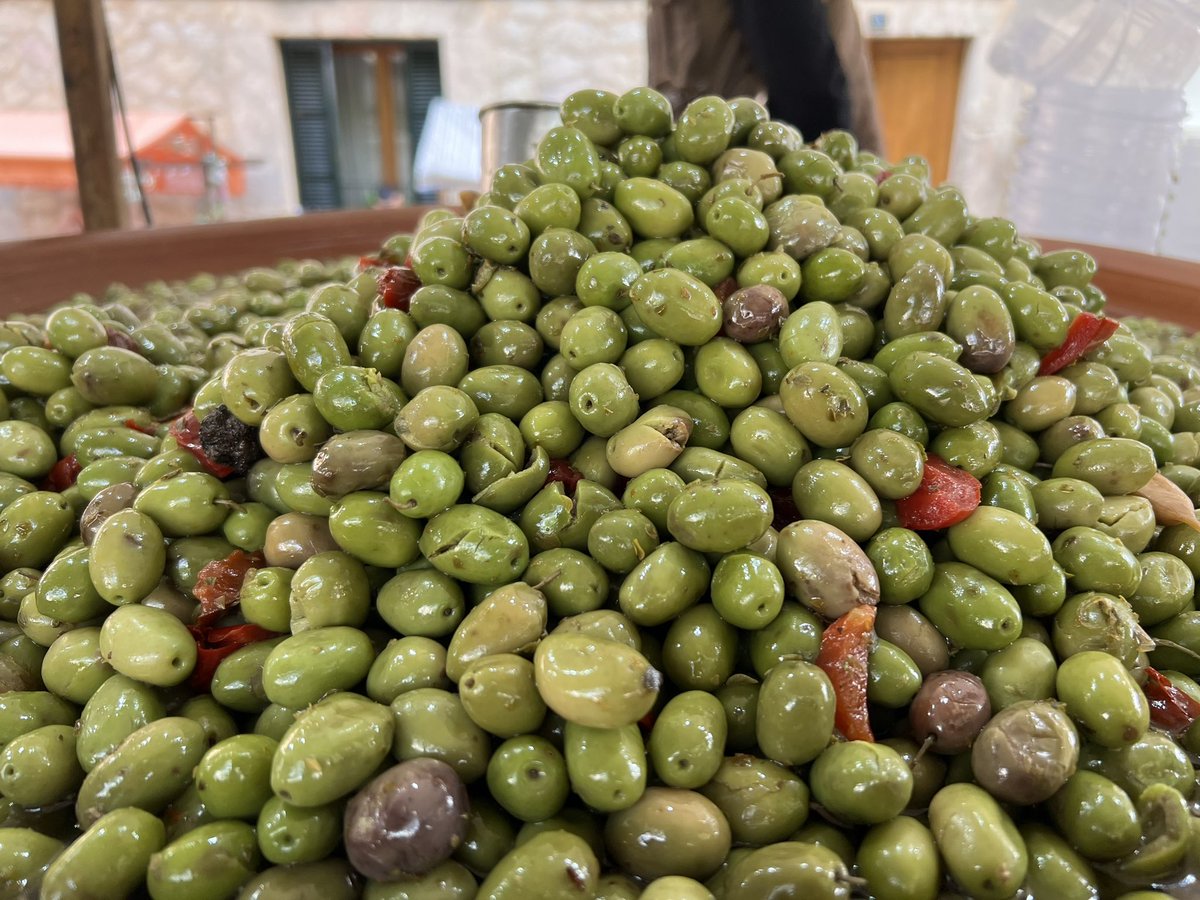 XXVI FIRA DE S'OLIVA DE CAIMARI
Molts d'Anys i Bona Fira a tots els caimariencs i caimarienques.