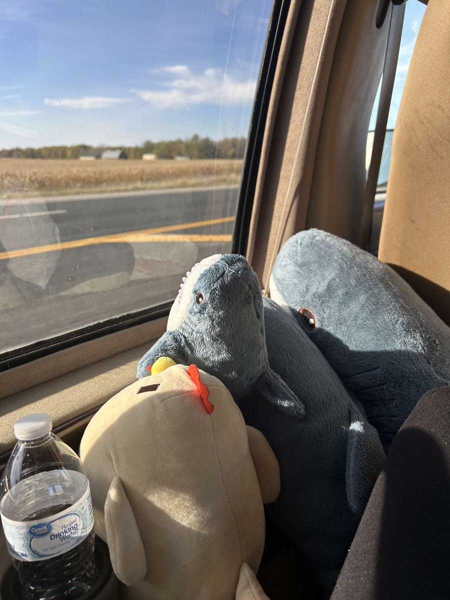 GreyCat48's tweet image. Where are they heading?