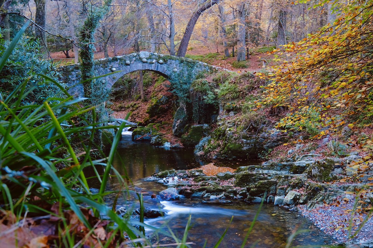 Foley’s Bridge, Tollymore Forest 🍂