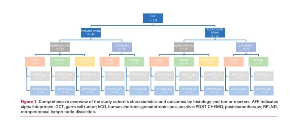 nataliagandur's tweet photo. 🌟Advancing Biomarker Science in Testicular Cancer: Insights from the #SWENOTECA-MIR Study 🌟
@OncoAlert
🔬 Key Messages:
miR-371a-3p as a Biomarker:
🔸️Proven as a highly specific marker for seminoma patients undergoing primary retroperitoneal lymph node dissection (RPLND).
🔸️Demonstrates a sensitivity of 74% and specificity of 100%, outperforming conventional markers.
Clinical Relevance:
🔸️Offers potential for avoiding overtreatment by identifying viable tumors pre-chemotherapy.
🔸️Limited utility in nonseminoma and postchemotherapy contexts.
Study Highlights:
🔸️Largest prospective cohort to date (114 patients) using digital droplet PCR for miR-371a-3p analysis.
🔸️Provides population-based data with rigorous optimism-corrected performance metrics.
🌟 Findings:
Seminomas:
🔸️miR-371a-3p levels significantly decline post-RPLND, indicating its reliability in tracking tumor viability.
🔸️Serves as a non-invasive, radiation-free alternative to conventional diagnostics.
Nonseminomas and Teratomas:
🔸️miR-371a-3p showed low sensitivity and no significant postoperative changes.
🔸️Conventional markers may still hold value in these subgroups.
Future Directions:
🔸️Integration with artificial intelligence and radiomics could enhance predictive capabilities.
🔸️Further validation needed to standardize thresholds and broaden clinical applications.
📊 Implications for Patient Care:
🔸️Enables tailored treatment plans by distinguishing patients who genuinely require RPLND.
🔸️Reduces risks of long-term morbidity associated with unnecessary surgeries.
#TesticularCancer #PrecisionOncology #Biomarkers #ClinicalResearch #OncologyInnovation #CancerCare
https://t.co/wRDlDkZ2PX