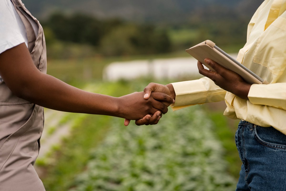 Farmers in Rwanda have made significant strides in adopting agricultural insurance, paying over 9.3b RWF in premiums since the government launched the scheme in 2018. This figure shows that farmers in Rwanda are increasingly embracing modern agricultural practices <a href="/thefarmingzone/">BK Farming Zone Tv Show</a>