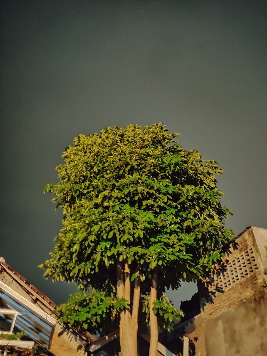 Surya Adinegara (@idayrusonegi) on Twitter photo 