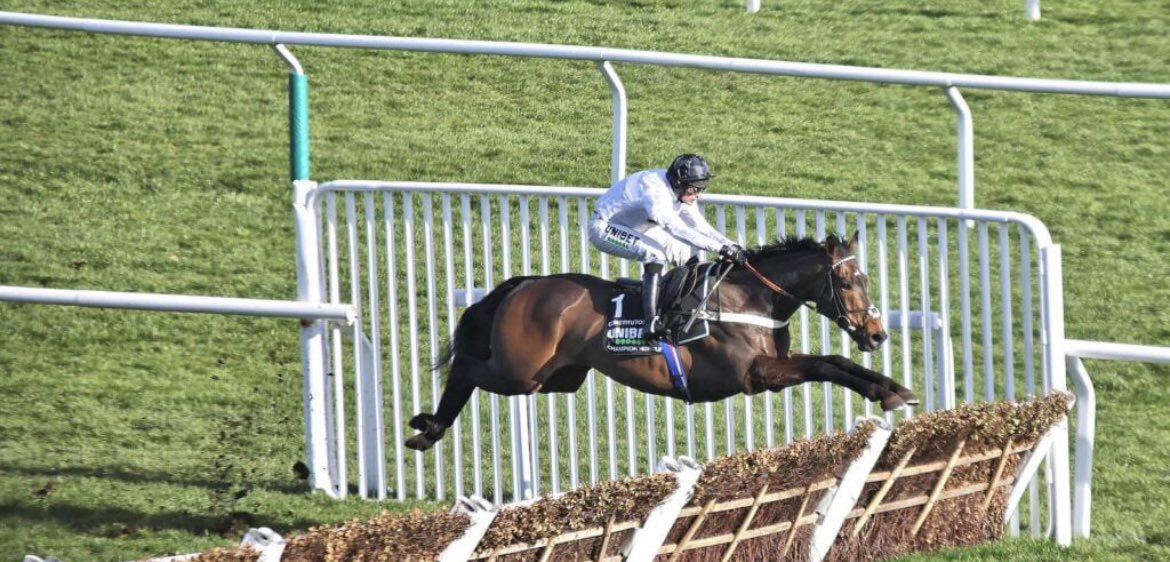 EwanMountjoy's tweet photo. @timecaptales Constitution hill champion hurdle final fence https://t.co/9ejO2H1Fey