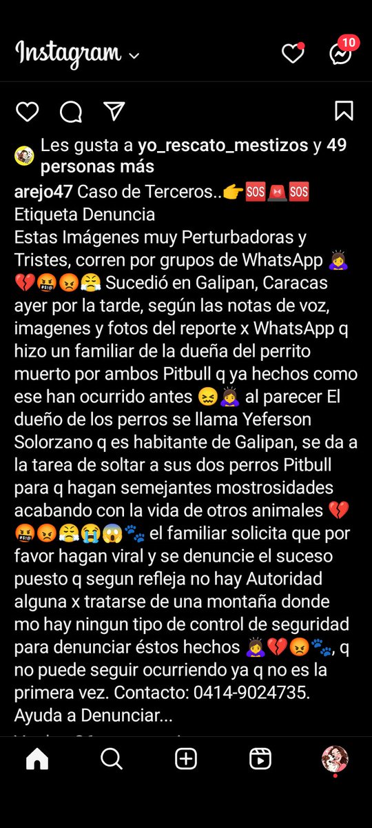 ros245's tweet photo. #URGENTE #GALIPAN #ELAVILA hombre suelta a sus dos perros pitbull para que ataquen a todos los animalitos y personas de la zona. @PerroUsuario @ReporteYa @yaracalcagno https://t.co/YbIXdvifsU