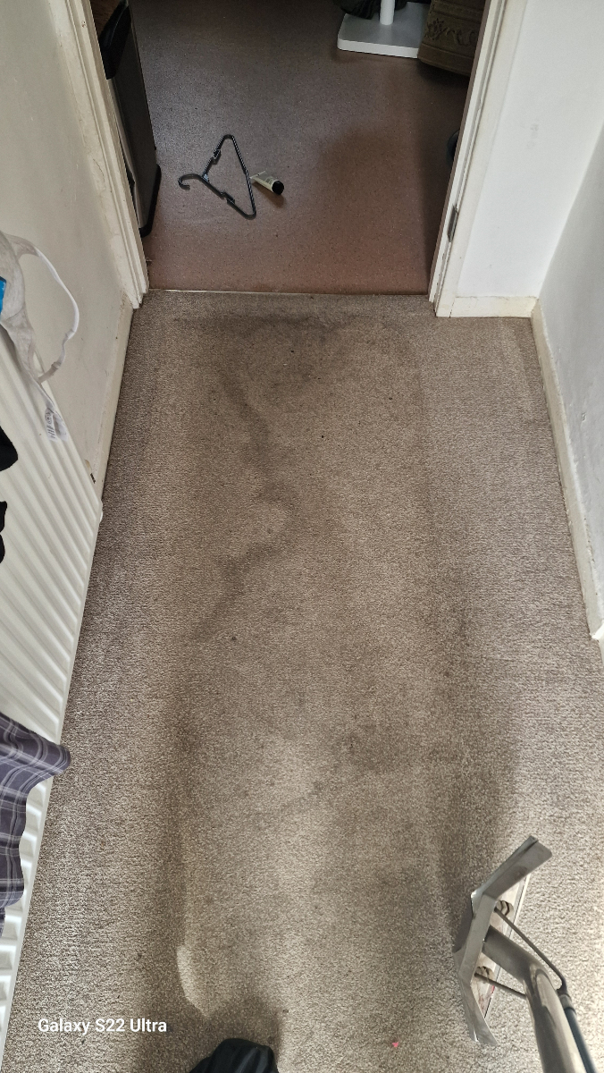 dmcarpetclean's tweet image. From traffic areas to pet stains, we handle it all! See the difference a deep clean makes. 🧼💧 #CardiffCommunity #DMCarpetClean #HomeCare