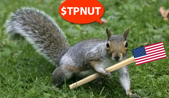 tpnutsol's tweet photo. https://t.co/neRB9OAosy