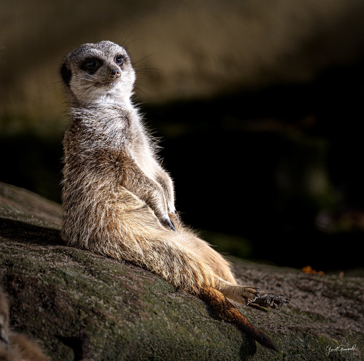 Visited the Zoo today… #photography