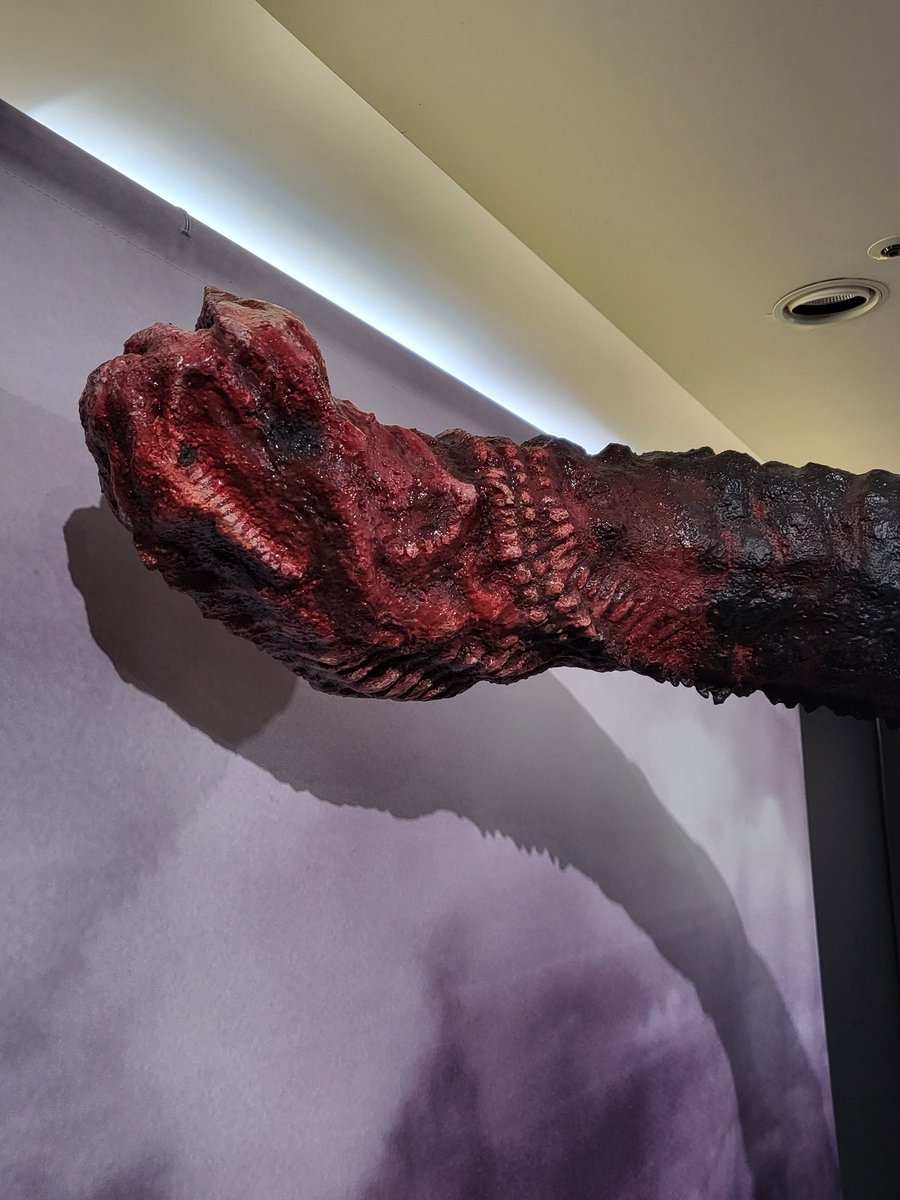 TheKaijuKingdom's tweet photo. Shin Godzilla at Godzilla Expo Osaka 

#Godzilla #Osaka #ShinGoodzilla #Japan https://t.co/J1DzEhtWii