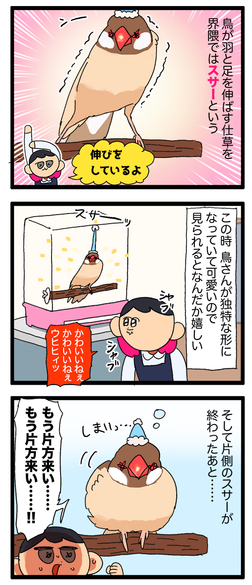鳥さんのスサー(伸び)、二回目を見れるとなんだかめちゃくちゃ嬉しい気持ち🦜
1966 #えるポピの絵日記かくところ