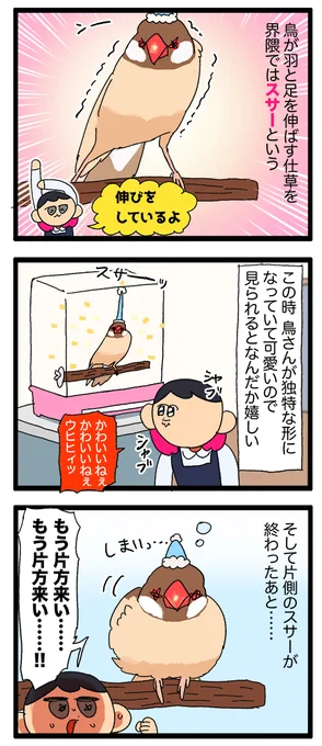 鳥さんのスサー(伸び)、二回目を見れるとなんだかめちゃくちゃ嬉しい気持ち🦜

1966 #えるポピの絵日記かくところ 