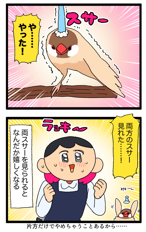 鳥さんのスサー(伸び)、二回目を見れるとなんだかめちゃくちゃ嬉しい気持ち🦜
1966 #えるポピの絵日記かくところ