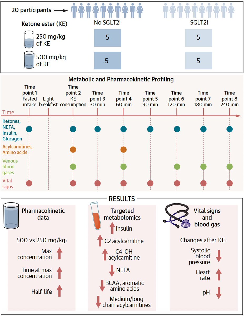Senthil Selvaraj, MD, MS, MA (@senthil_selv) on Twitter photo Our phase I study of 2 doses of exogenous ketones detailing PK and metabolic profiling in HFrEF by background SGLT2i
Simpub #AHA24 & <a href="/JACCJournals/">JACC Journals</a> #JACCBTS
jacc.org/doi/10.1016/j.…
🙏 <a href="/SvatiShah/">Svati Shah</a> <a href="/MarguliesLab/">Margulies Lab</a> <a href="/robmentz/">Robert Mentz, MD</a> <a href="/FudimMarat/">Marat Fudim, MD MHS</a> and outstanding team
<a href="/DukeHeartCenter/">Duke Heart</a> <a href="/DukeMPI/">Duke MPI</a> Our phase I study of 2 doses of exogenous ketones detailing PK and metabolic profiling in HFrEF by background SGLT2i
Simpub #AHA24 & <a href="/JACCJournals/">JACC Journals</a> #JACCBTS
jacc.org/doi/10.1016/j.…
🙏 <a href="/SvatiShah/">Svati Shah</a> <a href="/MarguliesLab/">Margulies Lab</a> <a href="/robmentz/">Robert Mentz, MD</a> <a href="/FudimMarat/">Marat Fudim, MD MHS</a> and outstanding team
<a href="/DukeHeartCenter/">Duke Heart</a> <a href="/DukeMPI/">Duke MPI</a>