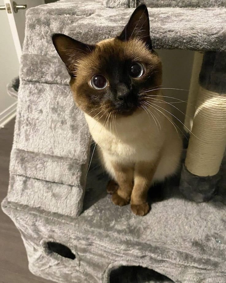 versfares's tweet image. 10:13 PM