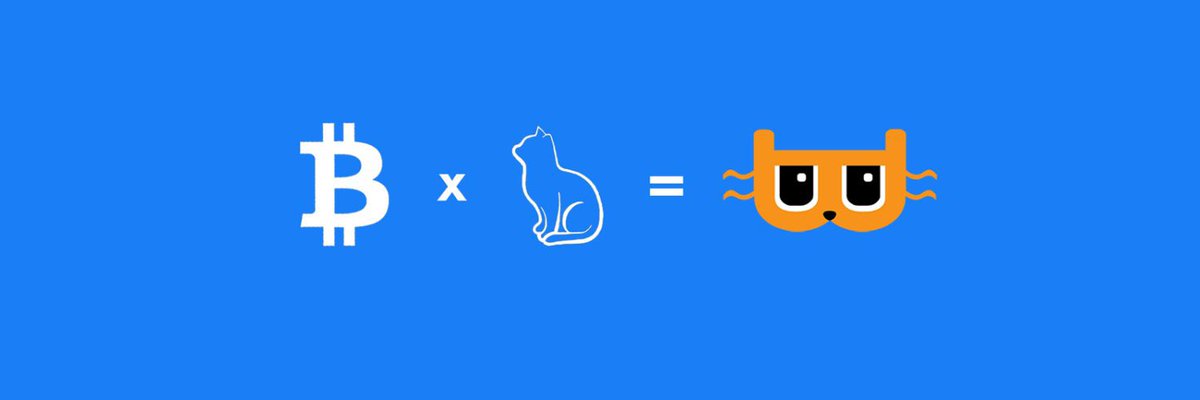 LemonBrothersDD's tweet photo. @ArchNtwrk @billydollarcat @PupsToken @dogofbtc @SaikoHamster @GizmoImaginary https://t.co/0ziabcQNeY