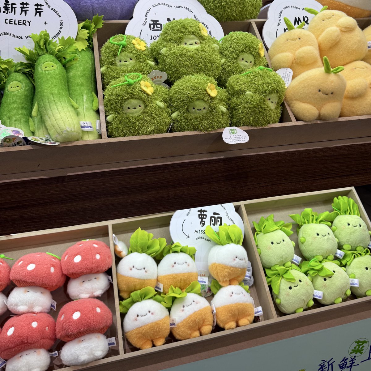 ॰｡ཻ˚coron *☆˖ tweet media