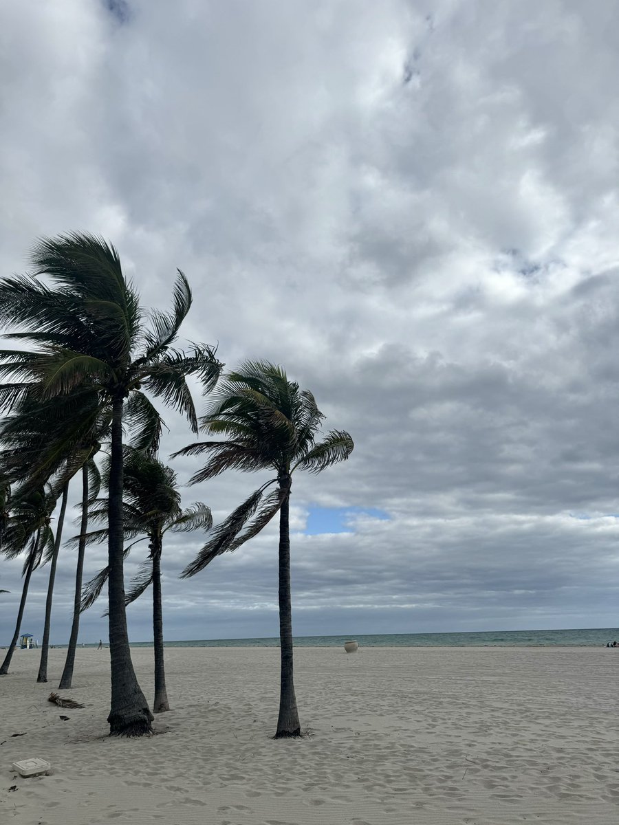 RafaelNodal's tweet photo. Today is windy and overcast. But a bad day at the beach, is still a great day.
Happy Sunday.
#LoveWeekends #LiveWeekends https://t.co/46gOerrcqM