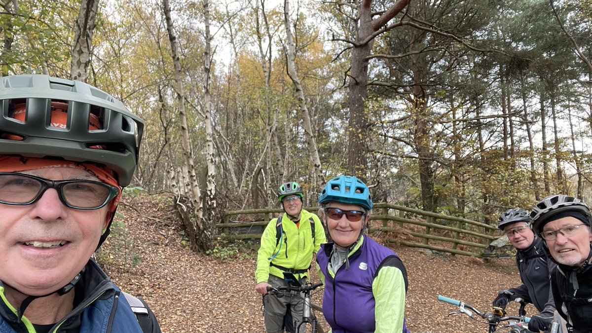 Martin S tweet media