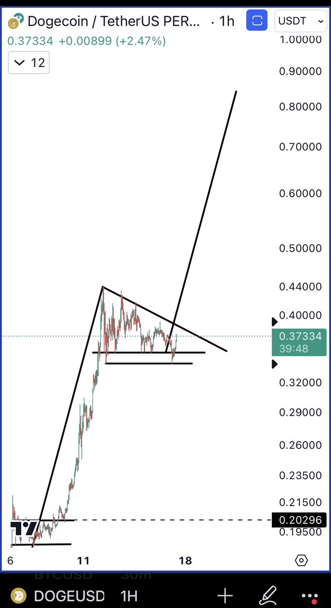 alicharts's tweet photo. #Dogecoin $DOGE appears to form a bull flag! I’m looking out for an hourly close above $0.40 which could trigger a breakout to $0.85! https://t.co/yfvGyZQzDK