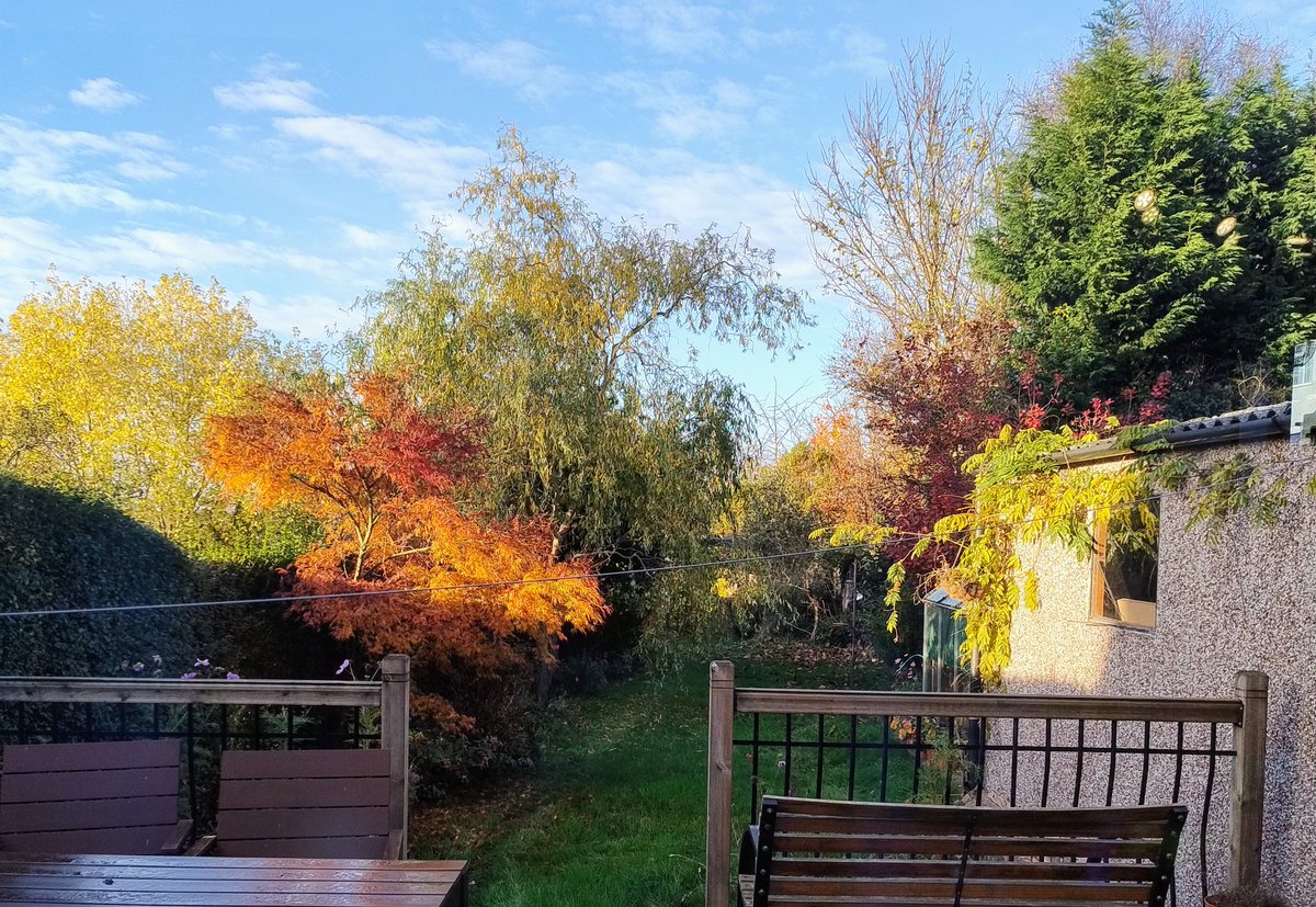 Why I love the Autumn! 🍁🍂