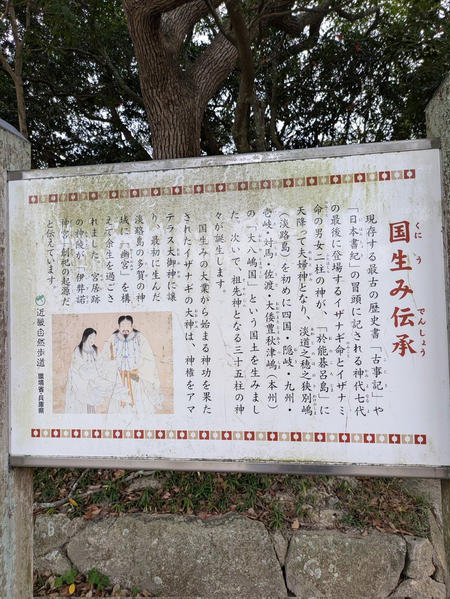 HTarou58's tweet photo. 国生みの神様は犬にも優しい。
楽太郎の七五三参りが出来て嬉しい。
楽太郎の鼻づまりが、
よくなるようにお願いもした。

＃フレンチブルドッグ
＃楽太郎 https://t.co/0lFQ9DiPd7