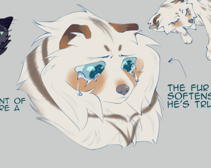 Cory 🍑 tweet media