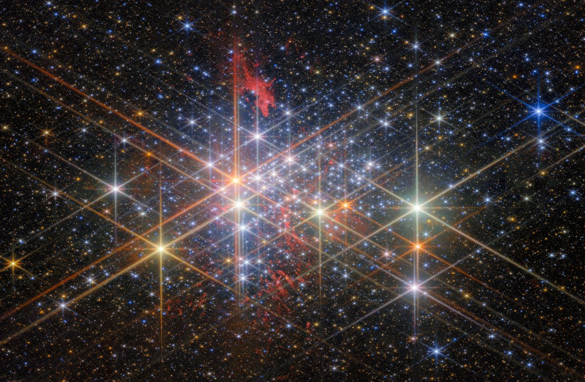 picard_224's tweet photo. 【 今日のウェッブ画像 】2024-11-17～4光年に1000個以上の星が密集「超星団」ウェスタールンド1～「天文学者が銀河系で最も重い恒星がどのように生まれ、死ぬのかを解明。」※欧州宇宙機関（ESA）HPより　 #さいだん座 #ウェスタールンド1 #Westerlund1 #銀河 #散開星団 #星団 #ウェッブ #ハッブル #チャンドラ #NASA #ESA #picard  
※①♦画像左上：ウェスタールンド1の異星集団～豪華絢爛　ウェッブ宇宙望遠鏡が観測した超星団「ウェスタールンド1」ジェイムズ・ウェッブ宇宙望遠鏡（JWST）の近赤外線カメラ（NIRCam）で観測された星団「ウェスタールンド1（Westerlund 1）」（Credit: ESA/Webb, NASA & CSA, M. Zamani (ESA/Webb), M. G. Guarcello (INAF-OAPA) and the EWOCS team）
※②♦画像右上：この画像に映っているのは、「ウェスタールンド1（Westerlund 1）」と呼ばれる星団です。ハッブル宇宙望遠鏡の画像にチャンドラX線望遠鏡の画像を合成しています。チャンドラX線望遠鏡がとらえたX線は、若い星（主に白とピンク）と、星団全体に広がる高温ガス（ガスの温度が上がる順にピンク、緑、青で表示）を示しています。ハッブル宇宙望遠鏡がとらえた星々は、黄色や青色の点として見えています。

【　解　　説　】
この新しいウェッブ月間写真で紹介されている散開星団ウェスタールンド1は、南の星座アラ（祭壇）のおよそ12,000光年離れたところにあり、巨大なガスと塵の星間雲の背後に隠れています。ウェスタールンド1は、1961年にオーストラリアでスウェーデンの天文学者ベンクト・ウェスタールンドによって発見されました。ウェスタールンド1は、極限の恒星物理学を研究するための比類のない自然の実験室であり、天文学者が銀河系で最も重い恒星がどのように生まれ、死ぬのかを解明するのに役立っています。

ウェスタールンド 1 のユニークな魅力は、その巨大で密度が高く多様な大質量星の集団です。これは、星の数、スペクトル型や進化段階の豊富さという点で、他の既知の天の川銀河団には見られません。この銀河団で確認されているすべての星は進化しており、非常に大質量で、ウォルフ・ライエ星、OB 型超巨星、黄色極超巨星 (太陽の 100 万個分に近い明るさ)、高輝度青色変光星など、あらゆる星の分類を網羅しています。このような星の寿命は比較的短いため、ウェスタールンド 1 は天文学的に非常に若いと言えます。天文学者によると、この銀河団の年齢は 350 万年から 500 万年の間 (正確な年齢は未だ議論の余地がある) と推定されており、銀河系内では新生の銀河団となっています。将来的には、散開星団から球状星団へと進化する可能性が高いと考えられています。球状星団は、重力によって結びついた、ほぼ球形で密集した古い星の集まりです。

現在、銀河系で毎年形成される星の数はほんの一握りだが、過去には状況が異なっていた。天の川銀河はかつてはもっと多くの星を生み出しており、おそらく約100億年前に年間数十から数百の星を生み出すピークを迎え、それ以降は徐々に減少している。天文学者たちは、こうした星形成のほとんどは「超星団」と呼ばれる巨大な星の集まりで起こったと考えている。これらは太陽の1万倍以上の質量を持つ若い星の集まりで、信じられないほど小さな体積に詰め込まれている。これらは星や惑星が形成される最も過酷な環境を表している。私たちの銀河系には今もほんの数個の超星団しか存在せず、そのうちの1つがウェスタールンド1だが、それらは私たちの銀河系の星のほとんどが形成されたこの初期の時代について重要な手がかりを与えてくれる。

ウェスタールンド 1 は、超星団の印象的な例です。この星団には数百もの非常に質量の大きい恒星が含まれており、その中には太陽の 100 万倍近くの明るさで輝くものもあれば、太陽の 2,000 倍 (土星の軌道と同じ大きさ) のものもあります。実際、太陽系がこの注目すべき星団の中心にあったとしたら、私たちの空は満月と同じくらい明るい数百の恒星で満たされていたことでしょう。この星団は、天の川銀河でこれまでに確認された中で最も質量が大きくコンパクトな若い星団のようです。天文学者によると、この極端な星団には太陽の 50,000 倍から 100,000 倍の質量があり、星はすべて直径 6 光年未満の領域内にあります。それでも、天の川銀河に残っている超星団の中では最大であり、地球に最も近い超星団です。これらの特性により、ウェスタールンド 1 は、超星団の環境が恒星や惑星の形成過程に与える影響や、広範囲の質量にわたる恒星の進化を研究するための優れたターゲットとなります。

ウェスタールンド 1 には巨大な恒星が多数存在し、周囲に非常に大きな影響を及ぼすことが予想されます。この星団には巨大な恒星が多数含まれているため、4,000 万年以内に 1,500 個を超える超新星が発生することになります。この超恒星団は、天文学者に宇宙で最も過酷な環境の 1 つに関する独自の視点を提供しています。ウェスタールンド 1 は、恒星、特に巨大な恒星の形成に関する詳細をさらに詳しく調べる長年の探求において、間違いなく新たな機会を提供してくれるでしょう。

この画像は、ウェッブ近赤外線カメラ (NIRCam) による拡張ウェッテルンド 1 および 2 散開星団調査 (EWOCS) の一環として撮影されました。この調査は、ウェッブ専用のプログラム ( GO 1905、PI: MG Guarcello) であり、太陽に最も近い 2 つの超星団であるウェッテルンド 1 とウェッテルンド 2 のスターバースト領域における星と惑星の形成および恒星の進化を研究することを目的としています。

赤外線における比類のない性能を持つ Webb は、天文学者に、局所的な超星団内の低質量星の集団を初めて明らかにし、これらの星団の最も質量の大きい星の周囲の環境を研究する機会を提供します。Webb による超星団内の質量の大きい星の観測により、これらの星からのフィードバック (恒星風、超新星、その他の放出物質) が周囲の環境や親雲内の全体的な星形成プロセスにどのような影響を与えるかが明らかになります。 

[画像の説明:明るい星々が密集した星団。望遠鏡の光学系により、各星には 6 つの大きな回折スパイクと 2 つの小さな回折スパイクがあります。明るさと星団内での距離に応じてさまざまな大きさがあり、星の種類に応じて色が異なります。星団内および周囲には、星に照らされた赤いガスの渦巻く斑点が見られます。星団内の小さな星々は、遠くの星や銀河の黒い背景に溶け込んでいます。]
クレジット：ESA/Webb、NASA & CSA、M. Zamani (ESA/Webb)、MG Guarcello (INAF-OAPA)、EWOCS チーム

補足説明）【質量は太陽の5万〜10万倍】
ウェスタールンド1は「超星団（super star cluster）」と呼ばれる巨大な星団で、太陽の5万〜10万倍の質量を含んでいます。まだ若い星団で、形成されてから300万〜500万年ほどしか経っていません。ウェスタールンド1は、天の川銀河にある超星団の中で最大のものです。また1万3000光年の距離にあり、地球に最も近い超星団でもあります。
天の川銀河では、100億年ほど前には非常に多くの星が形成されていました。そのような激しい星形成の多くは、ウェスタールンド1のような超星団で発生したと考えられています。
チャンドラX線望遠鏡の観測から、検出された1075個の星が星団の中心からわずか4光年以内に密集していることがわかりました。4光年というと、太陽と、太陽に最も近い恒星との間の距離に相当します。宇宙規模でみるとごく狭い範囲の中に、1000個以上の星が詰まっていることになります。

名    前：ウェスタールンド1
距    離：12000光年
星    座：さいだん座（ ラテン語: アラ、Ara）
カテゴリ：NIRCam