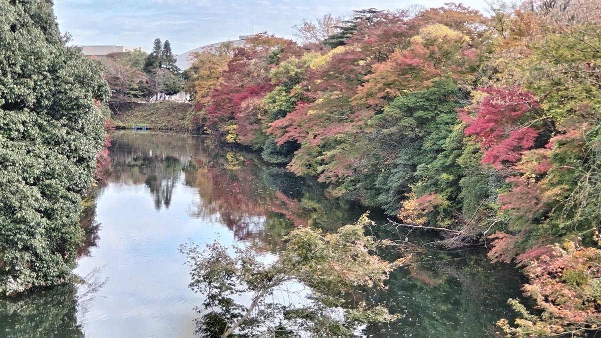 tama2848's tweet photo. 雨が来る前に古城公園
七五三もあって人たくさん https://t.co/5btCHhEtGe