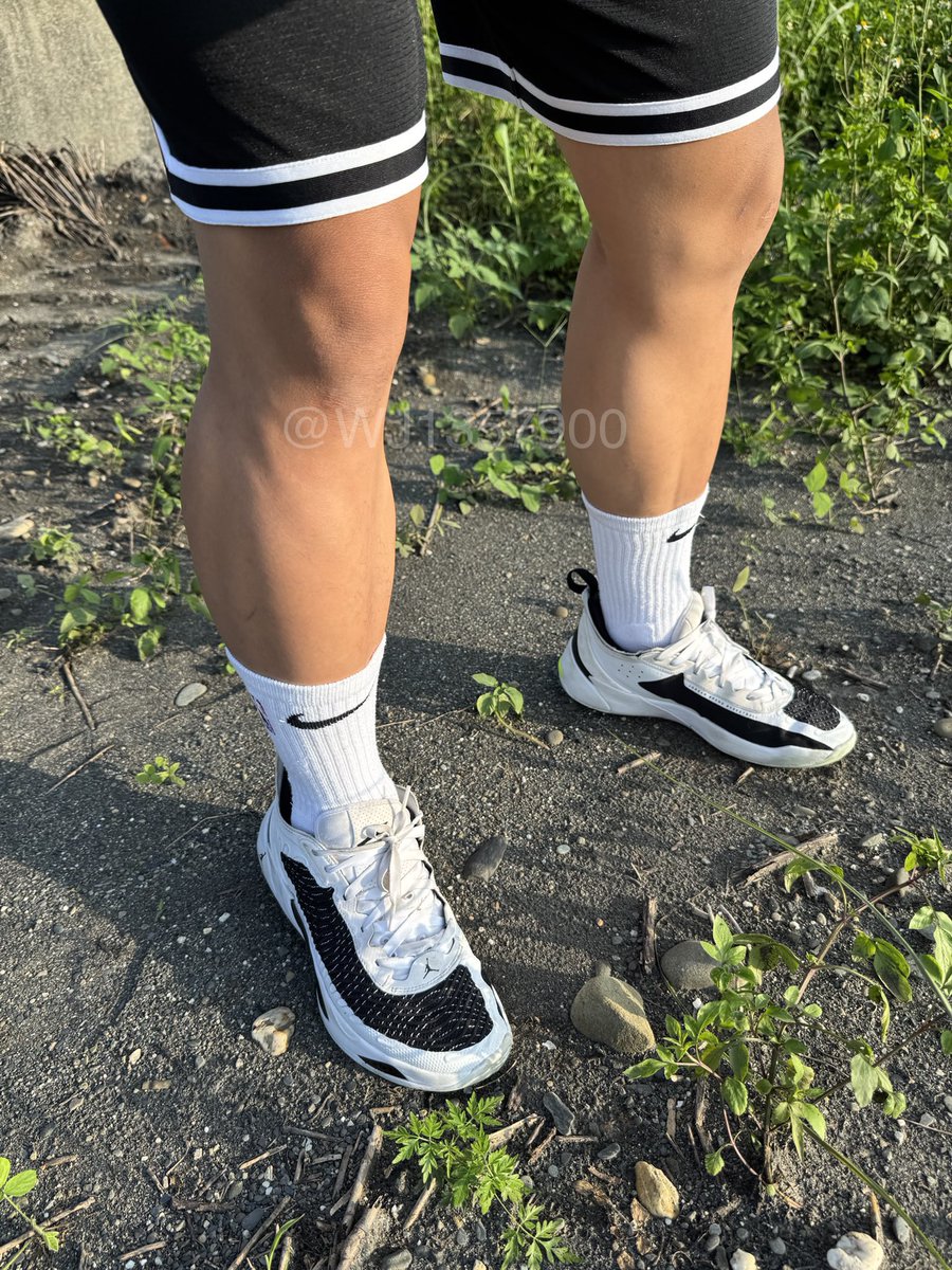 有陽光什麼都好拍
想要抱抱曬太陽運動流汗摸摸 
微憂鬱